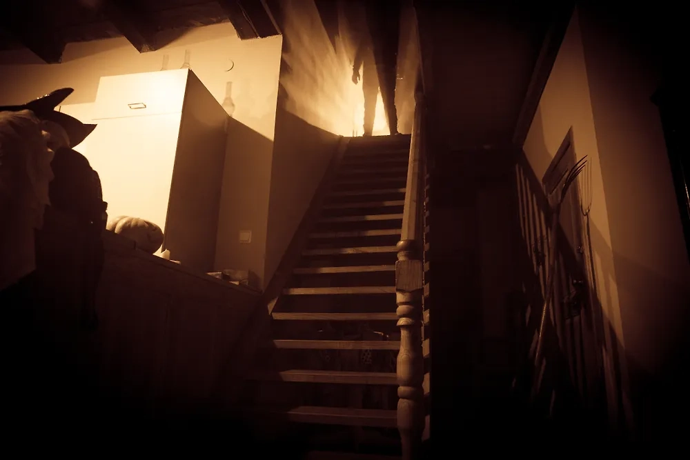 Обложка © Shutterstock / FOTODOM / zef art