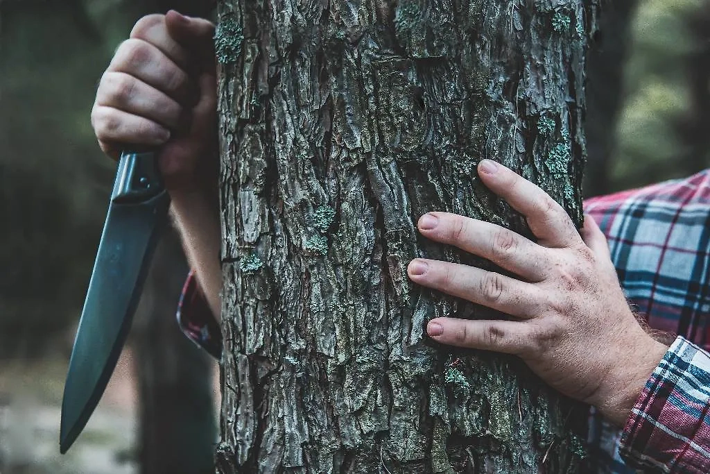 Обложка © Shutterstock / FOTODOM / Valeriya Popova 22