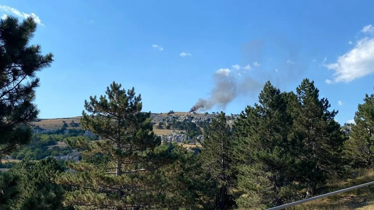 Porsche Cayenne горит в заповеднике в Крыму. Фото © Telegram / Заповедный Крым