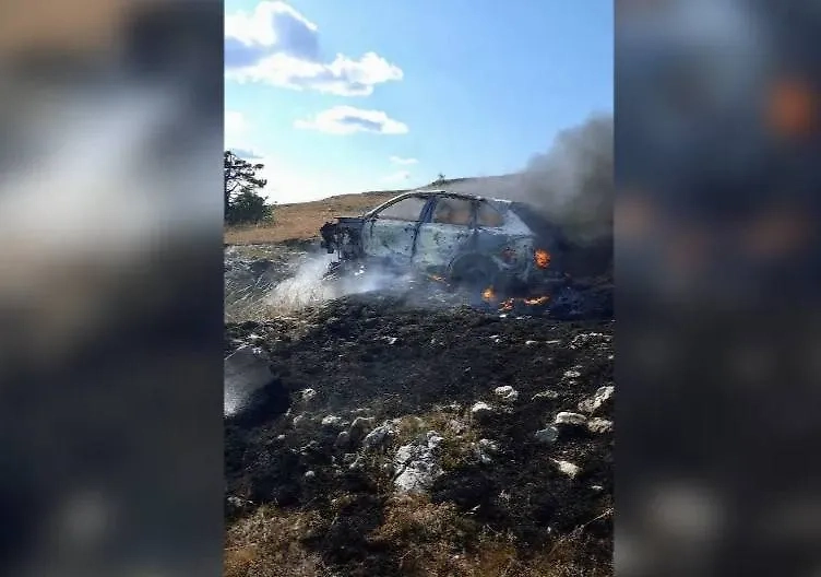 Обложка © Telegram / Заповедный Крым