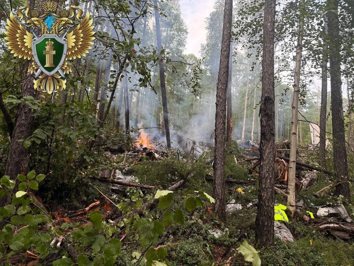 Место крушения Ан-24 в Приамурье. Фото © Дальневосточная транспортная прокуратура