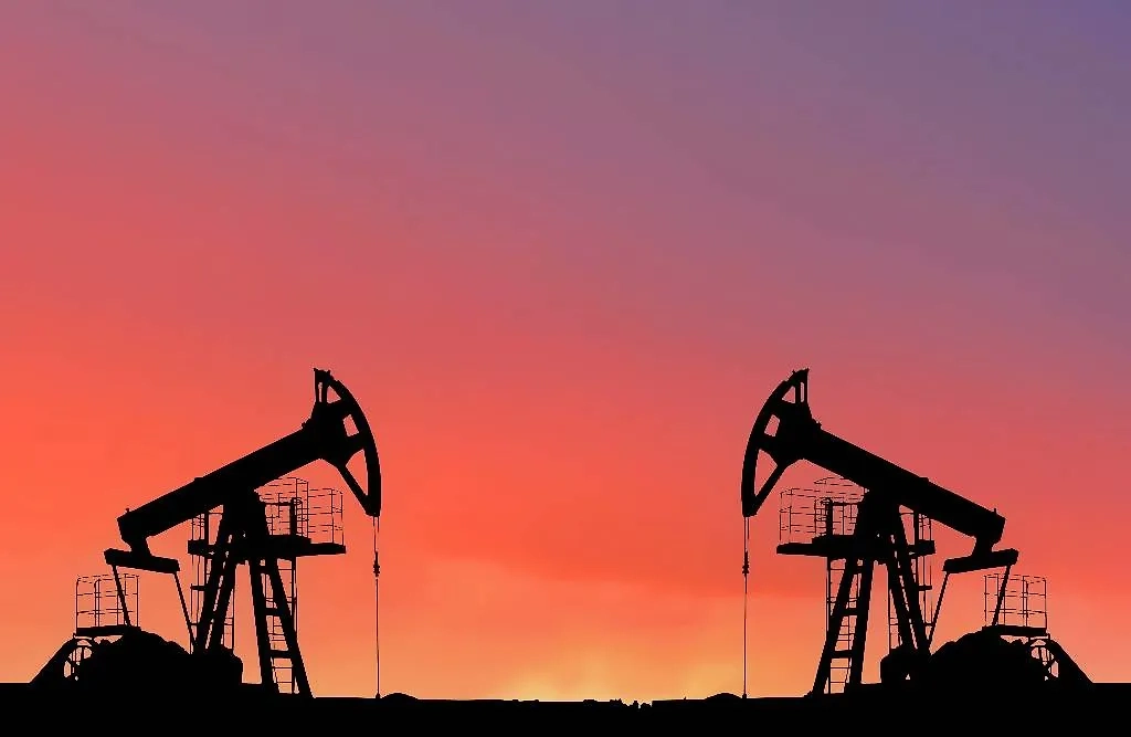 Обложка © Shutterstock / FOTODOM / Maksim Safaniuk