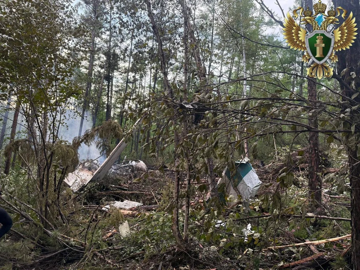 Место крушения Ан-24 в Приамурье. Фото © Дальневосточная транспортная прокуратура