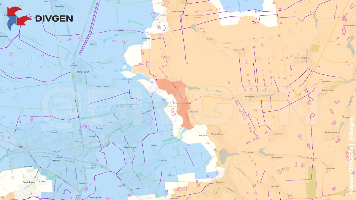 Карта СВО на 25 июля 2025 года. Российской армией освобождён пгт. Новоэкономическое на восточном фланге Красноармейского направления. Фото © Telegram / DIVGEN 🚩 Карта СВО