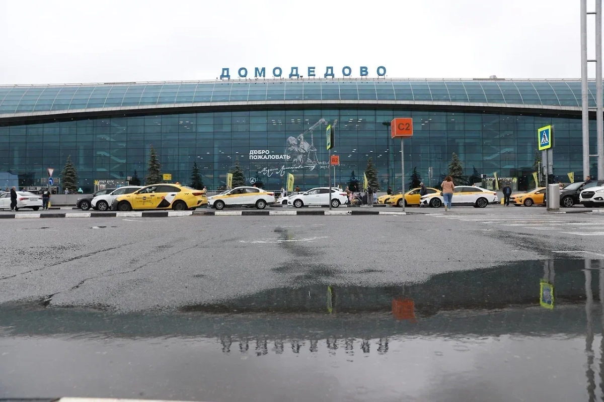 Аэропорт Домоделово. Обложка © Life.ru