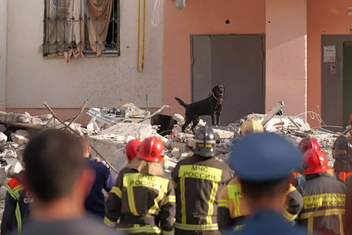 Обложка © Telegram/ Роман Бусаргин