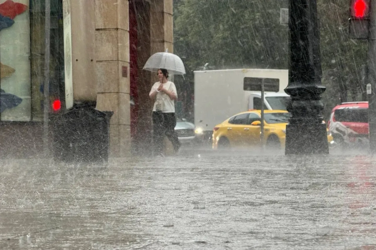 Обложка © Life.ru