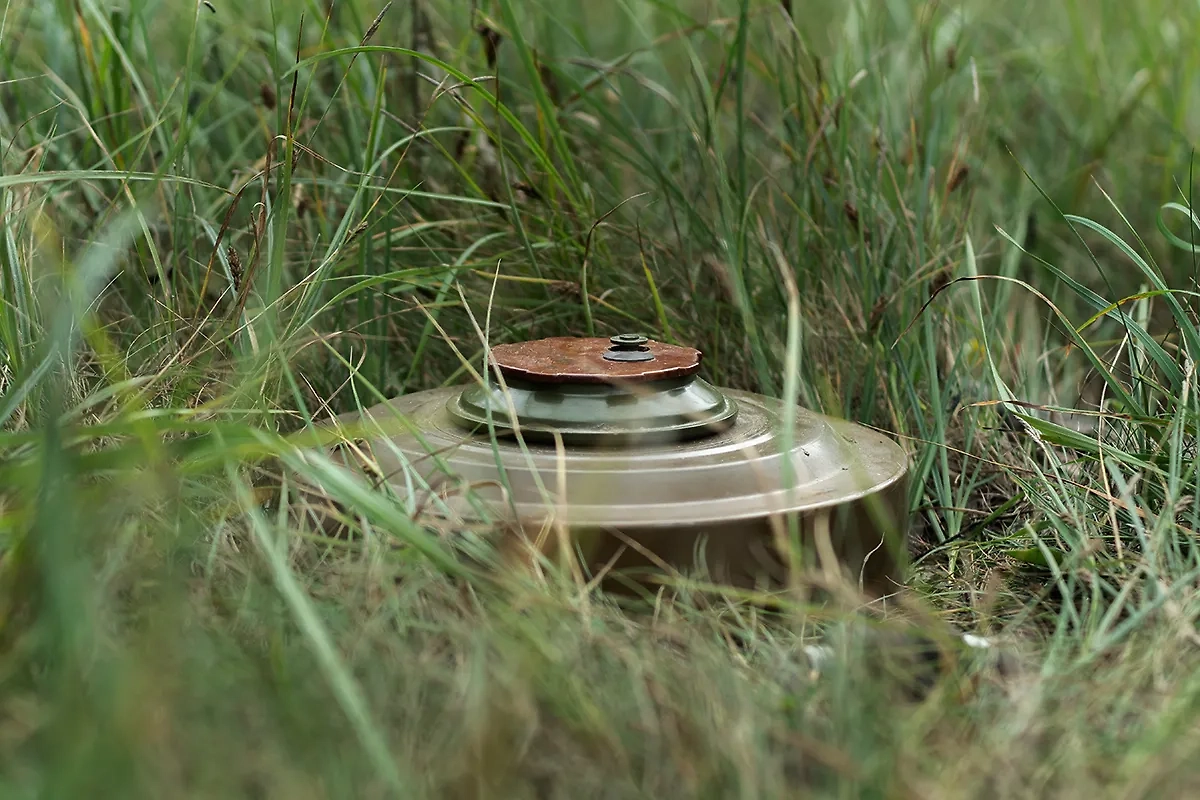 Обложка © Shutterstock / FOTODOM / Dmytro Falkowskyi