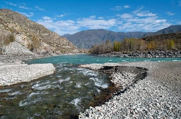 Обложка © Telegram / МЧС Республики Алтай