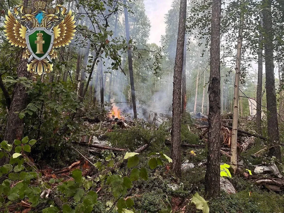 Место крушения Ан-24 в Приамурье. Фото © Дальневосточная транспортная прокуратура