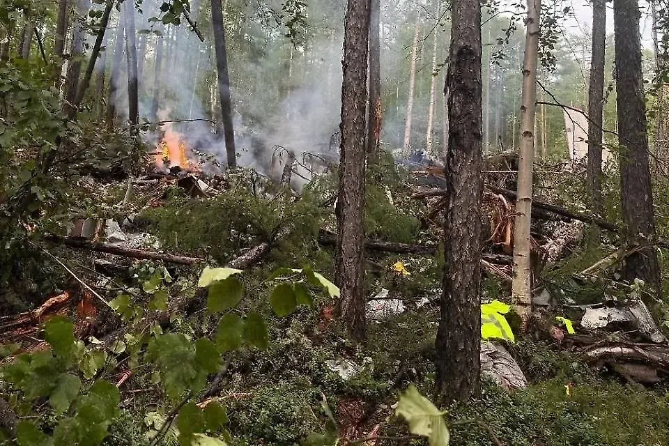 Место крушения Ан-24 в Приамурье. Обложка © Дальневосточная транспортная прокуратура