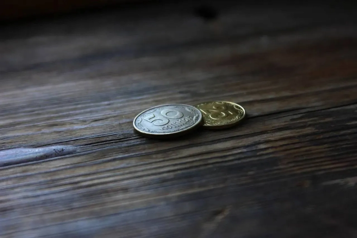 Обложка © Pixabay / nikitozawr