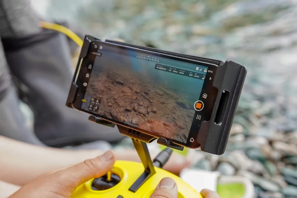 Обложка © Shutterstock / FOTODOM / Aisylu13