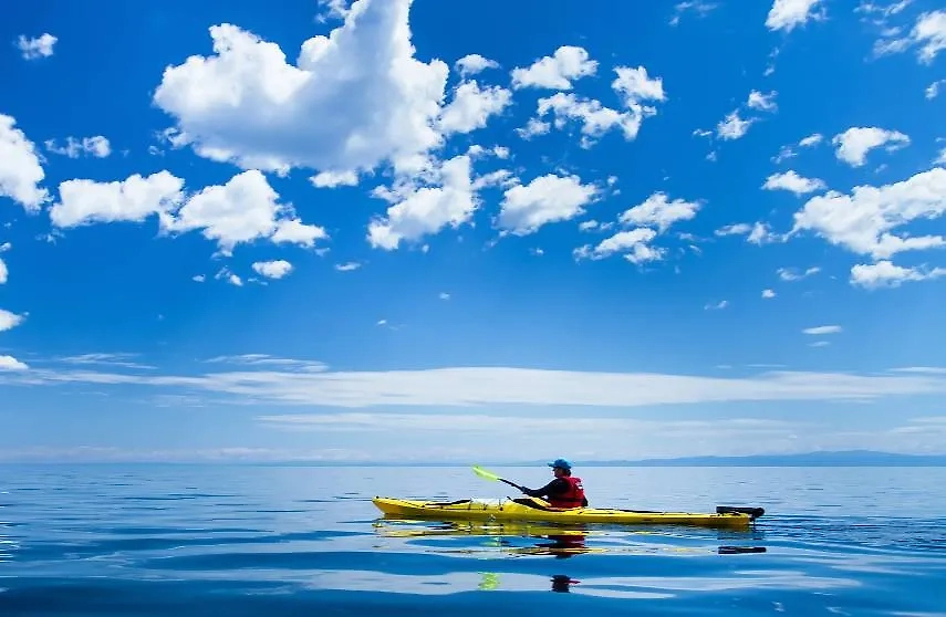 Обложка © Shutterstock / FOTODOM / kav38