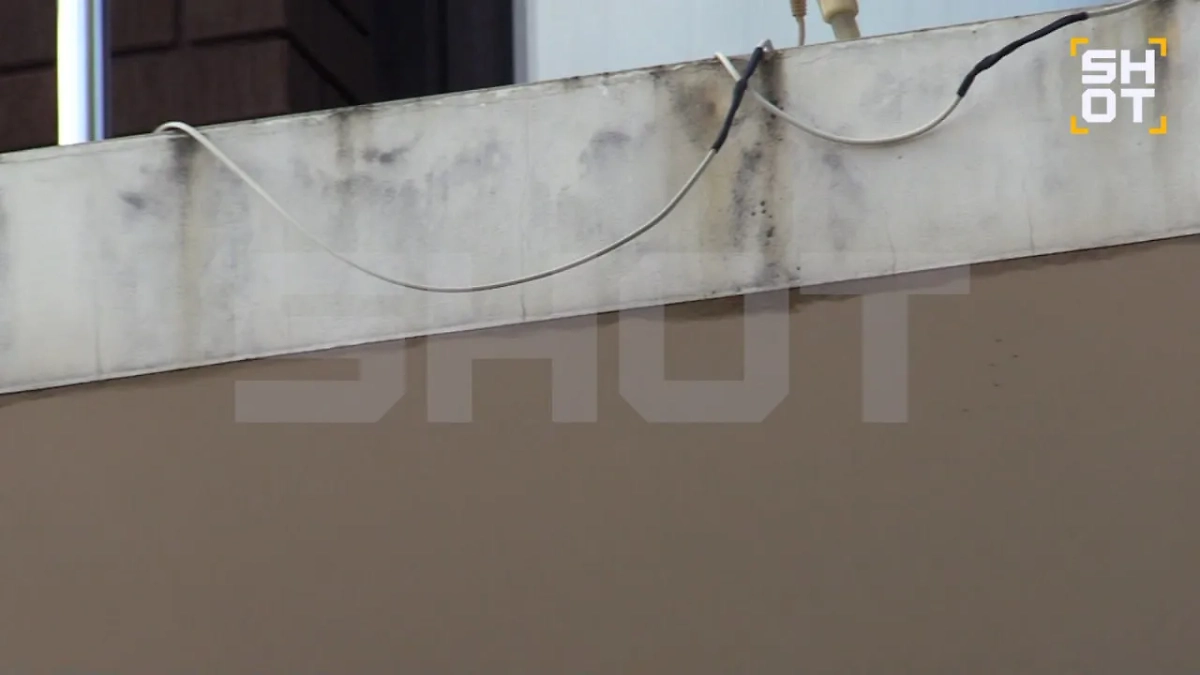 Облезлый дом Artik, вид снаружи. Фото © SHOT