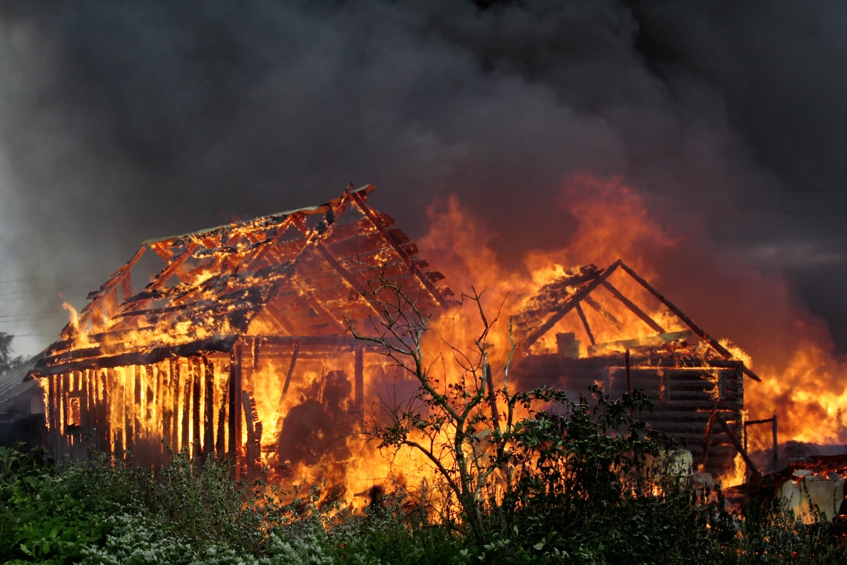 Обложка © Shutterstock / FOTODOM / Pyast