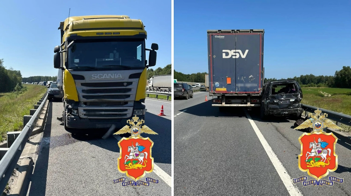 Фото © Telegram / Подмосковная полиция