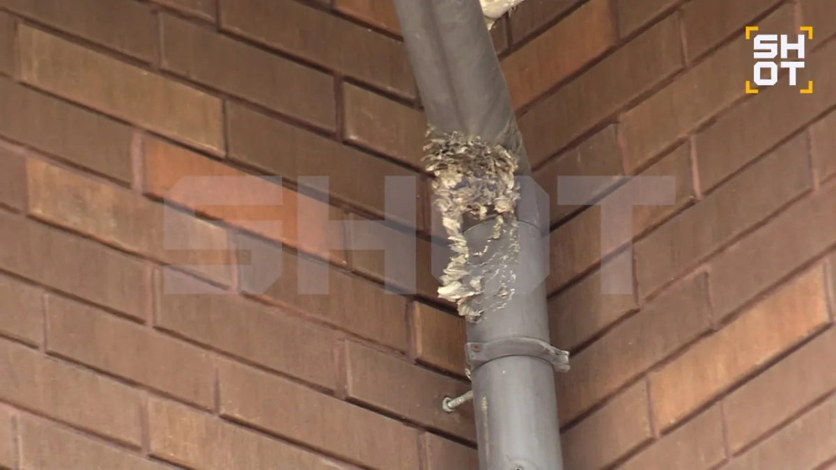 Облезлый дом Artik, вид снаружи. Фото © SHOT