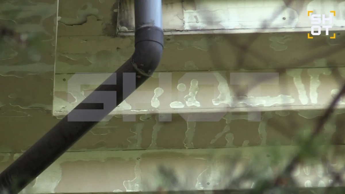 Облезлый дом Artik, вид снаружи. Фото © SHOT