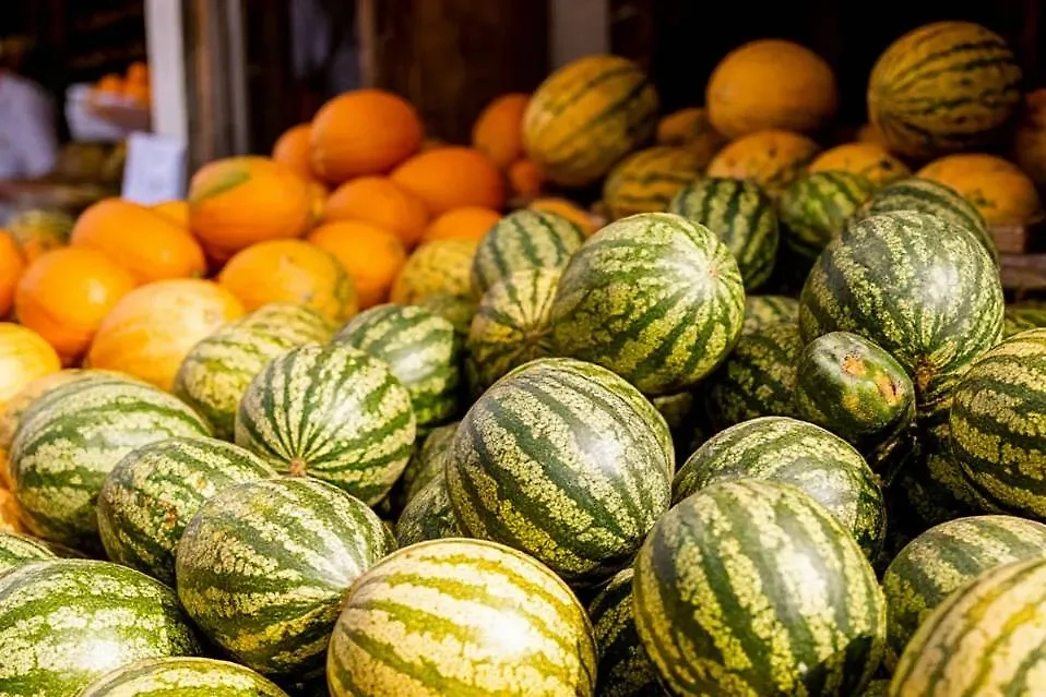 Арбузы и дыни. Обложка © Шедеврум / Life.ru