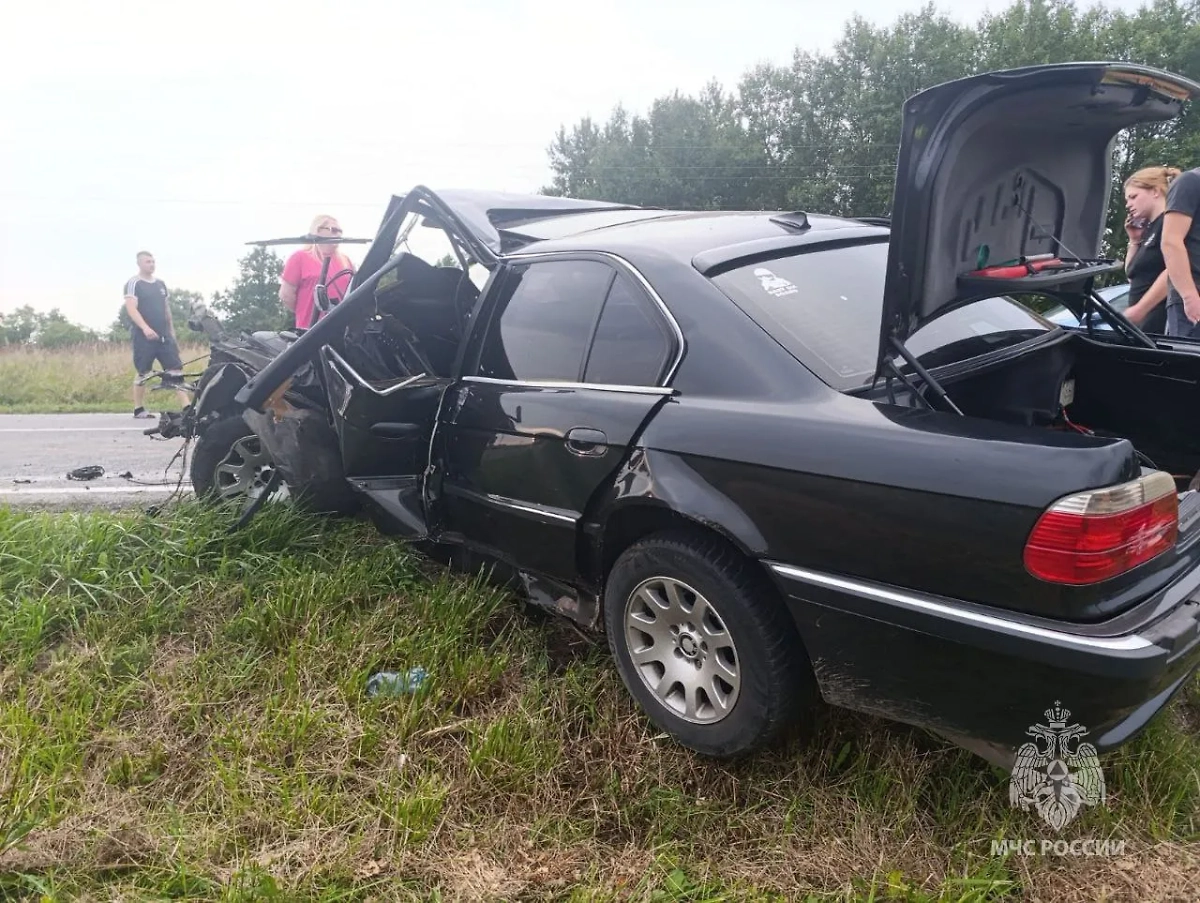 ДТП в Калининградской области. Фото © Telegram / МЧС Калининградской области