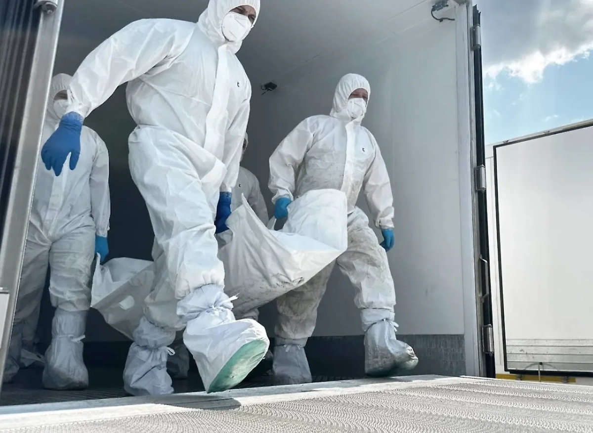 Обложка © Telegram / Владимир Мединский