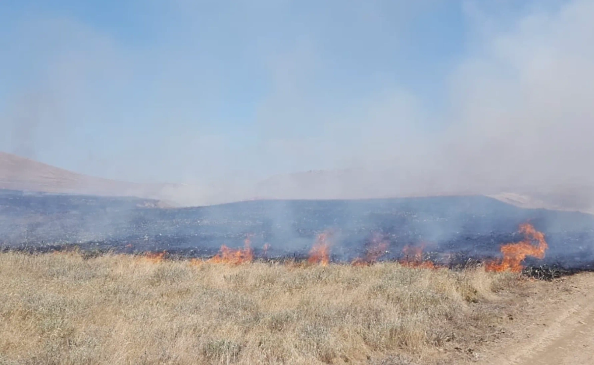Пожар в Крыму. Фото © VK / Ольга Шевцова