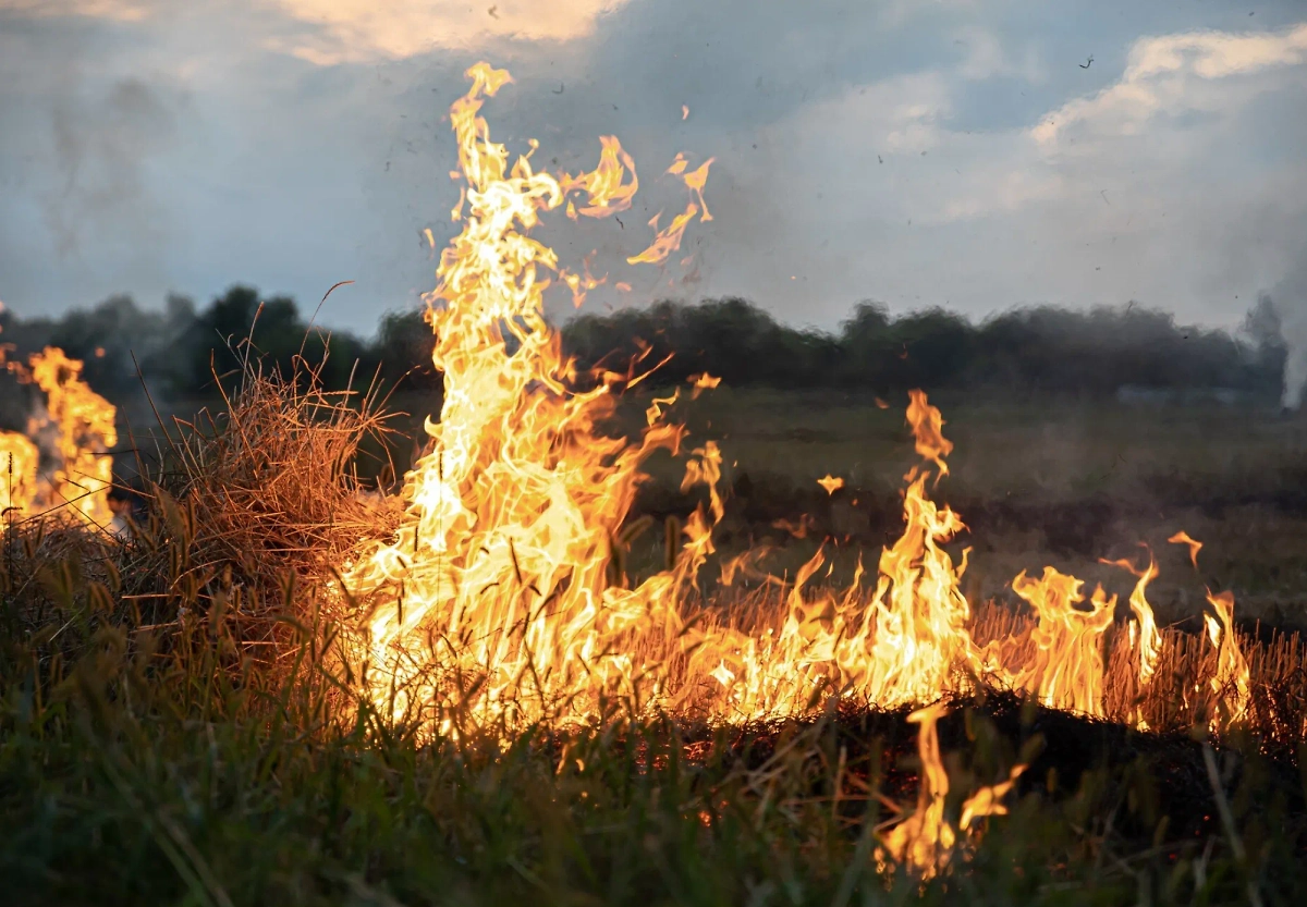 Обложка © freepik / pvproductions