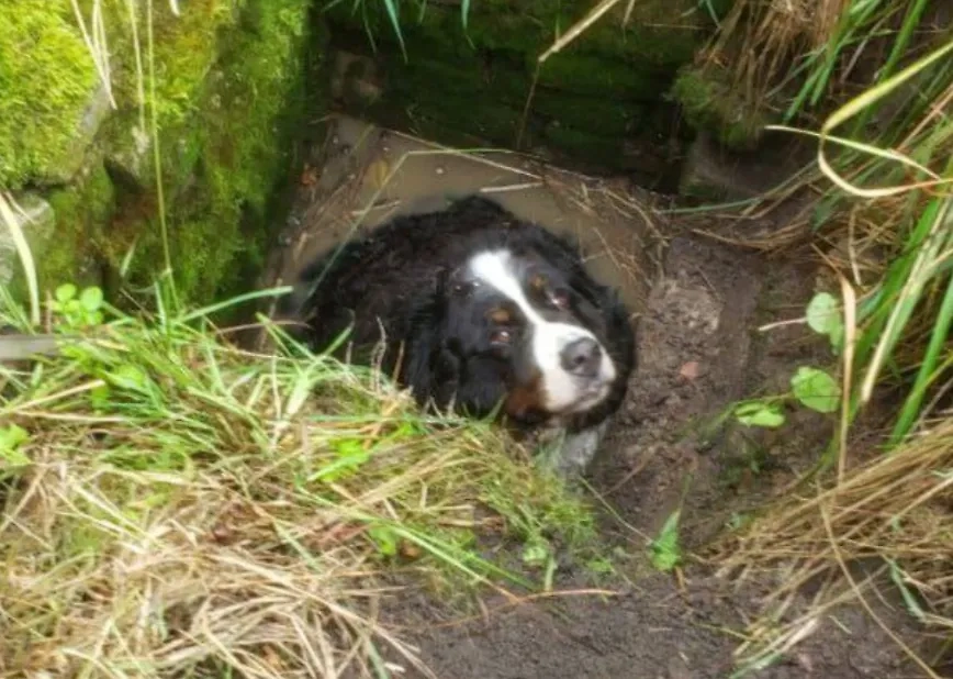 Обложка © Telegram / МЧС Калининградской области