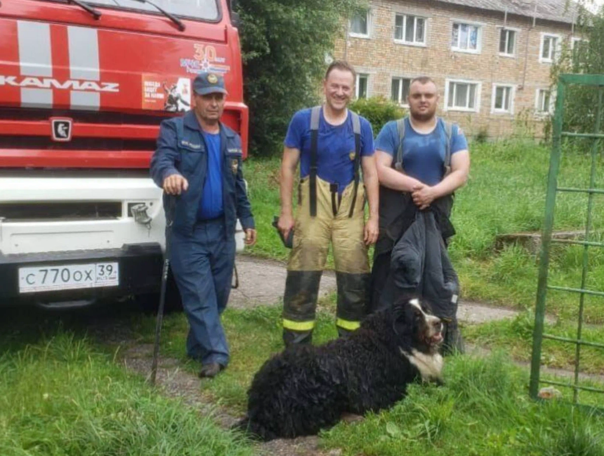Фото © Telegram / МЧС Калининградской области