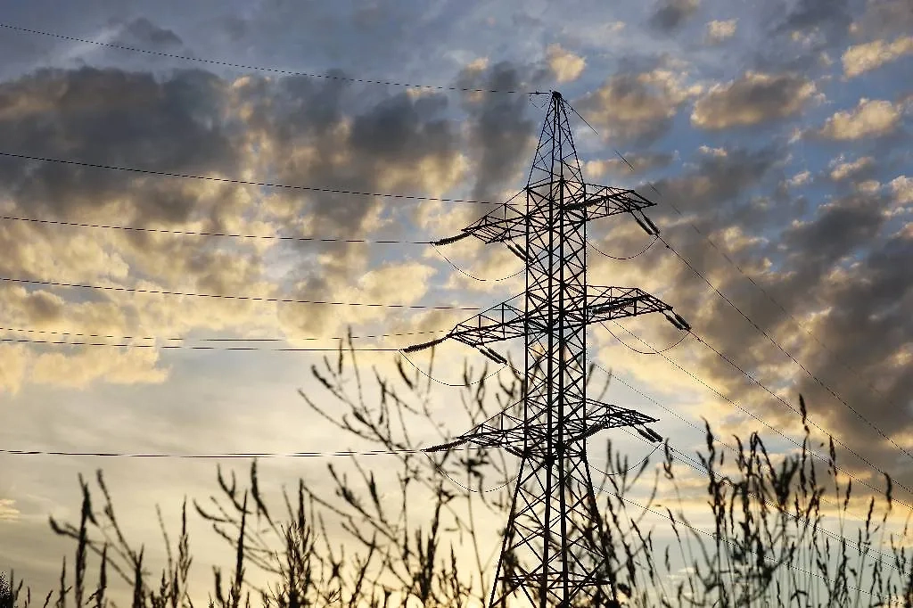 Обложка © Shutterstock / FOTODOM / Oleg Elkov