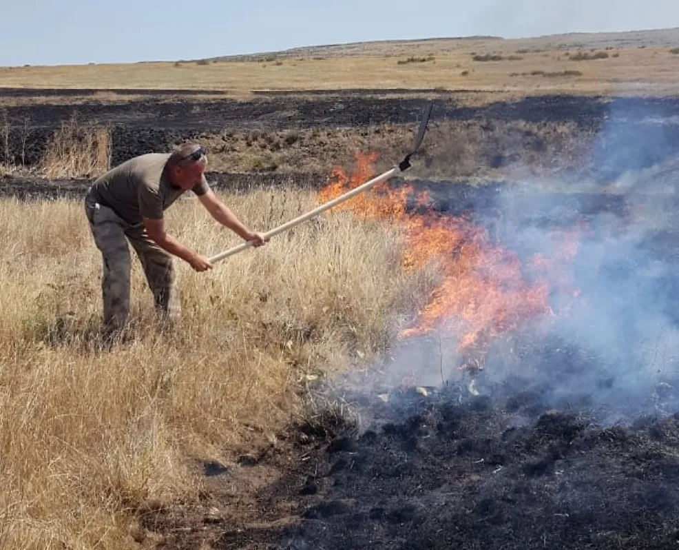 Пожар в Крыму. Фото © VK / Ольга Шевцова
