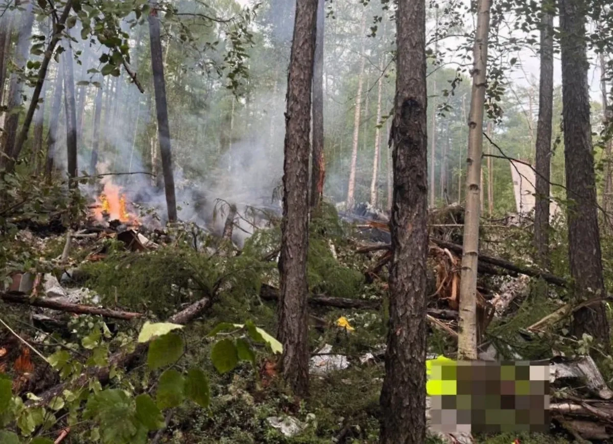 Обложка © Telegram / Дальневосточная транспортная прокуратура