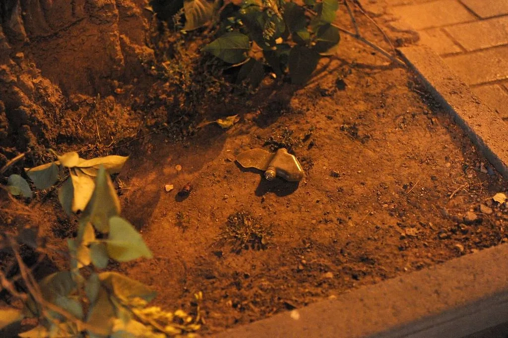 Мина «Лепесток» в Донецке. Обложка © ТАСС / Валентин Спринчак