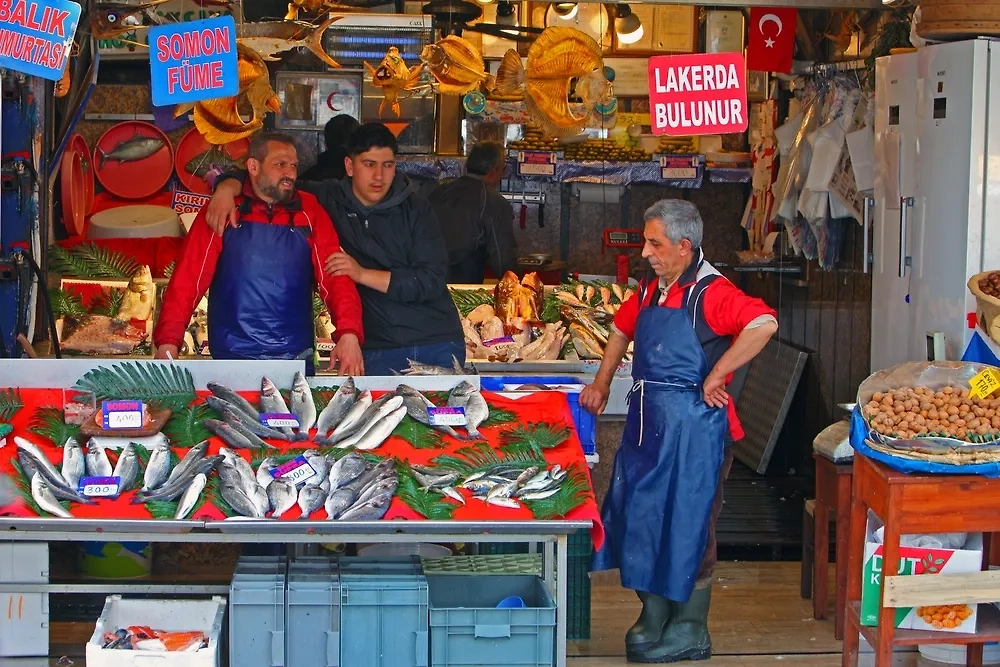 Обложка © Shutterstock / FOTODOM / dancar