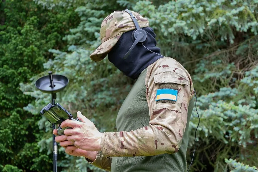 Обложка © Shutterstock / FOTODOM / Anelo