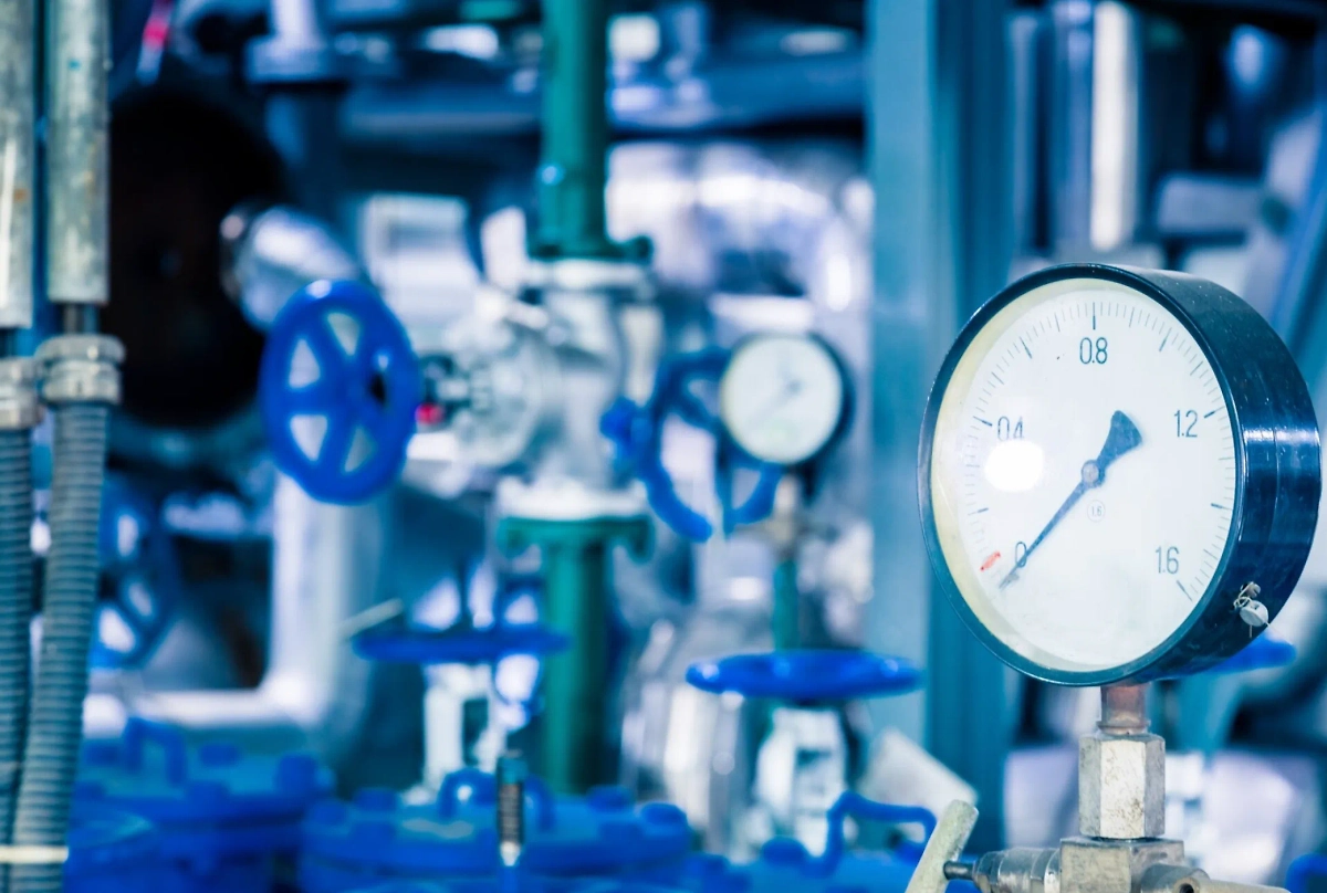 Обложка © freepik / fanjianhua