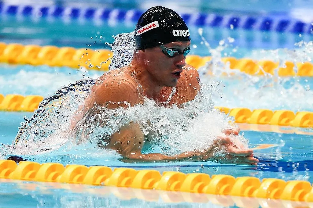 Обложка © ТАСС/Алеев Егор