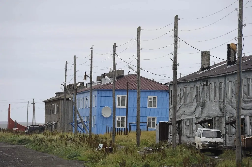 Обложка © ТАСС / Александр Петров