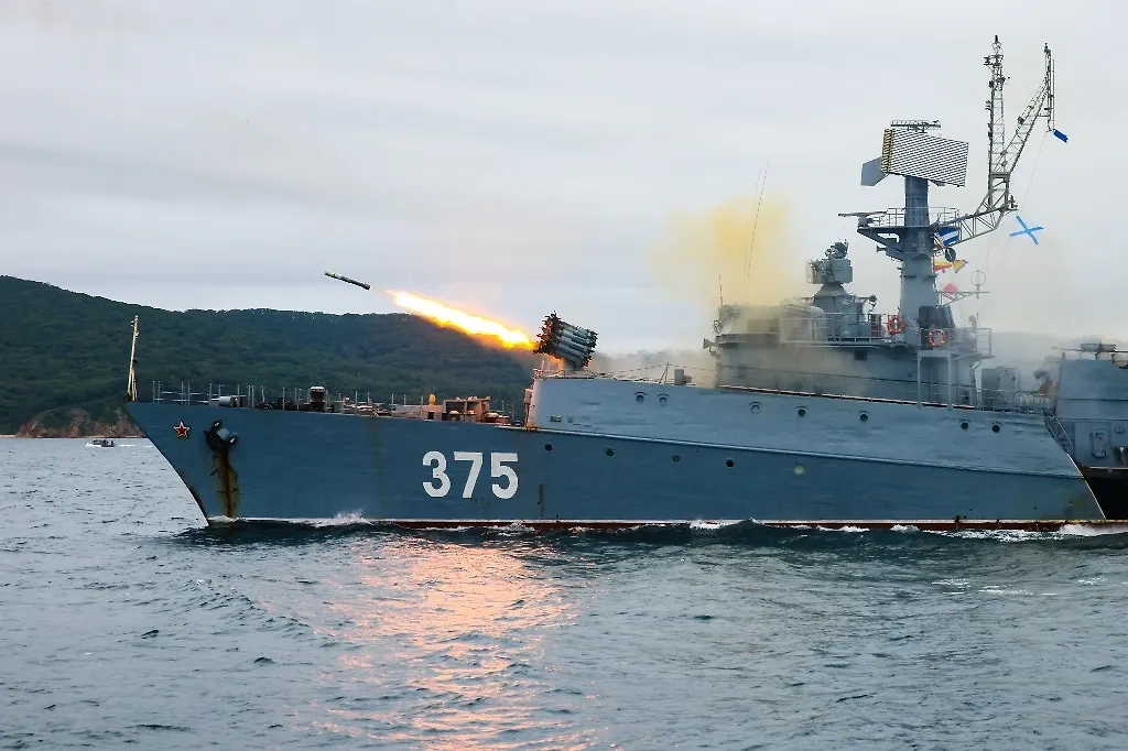 Обложка © ТАСС / Юрий Смитюк