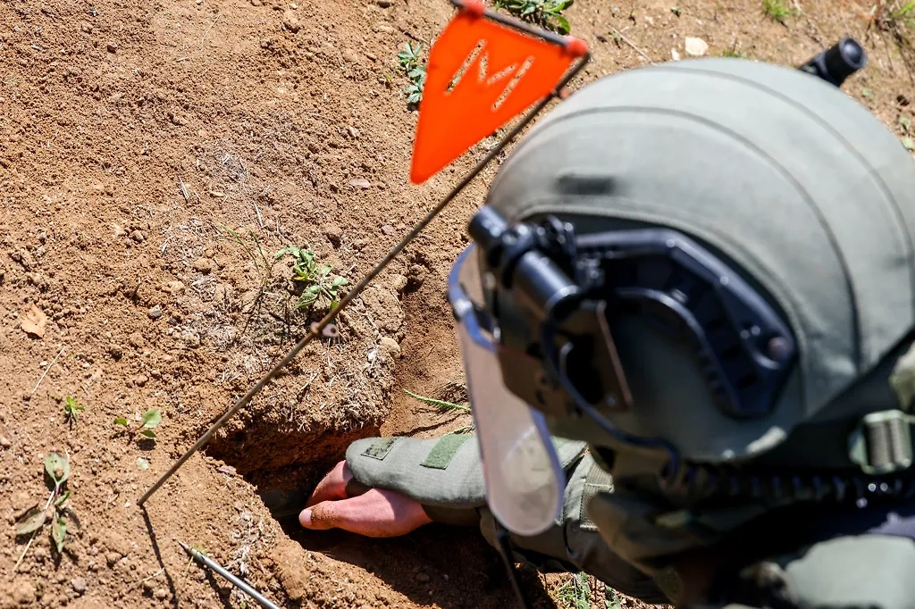 Обложка © ТАСС / Владимир Гердо