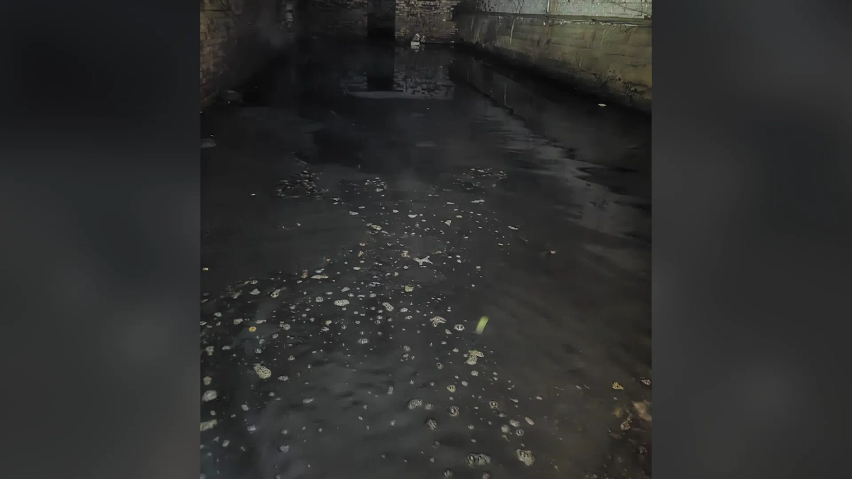 В Астрахани жители дома по соседству с обрушившимся забили тревогу. Обложка © Telegram / Подъём