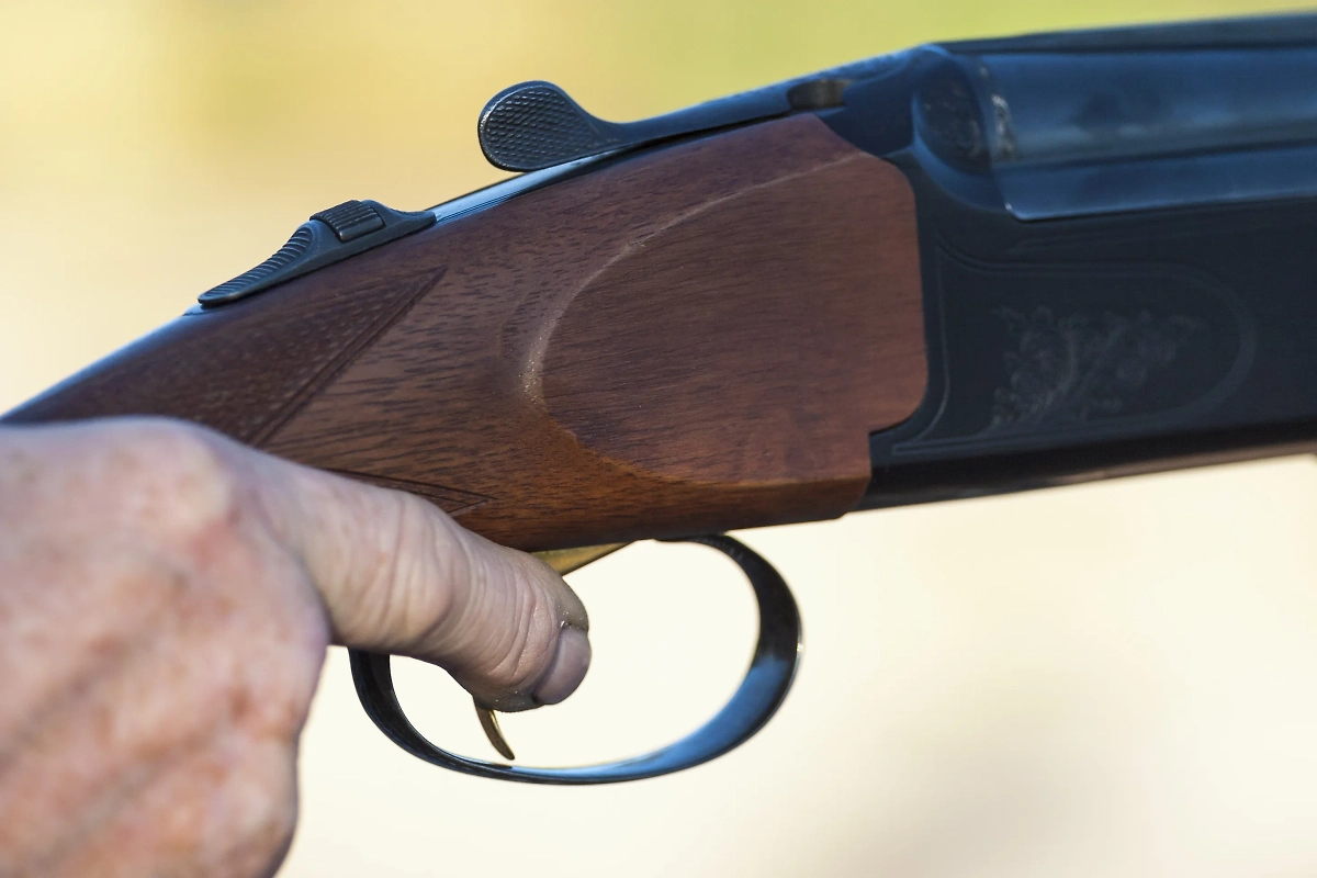 Обложка © Shutterstock / FOTODOM / Lasse Johansson