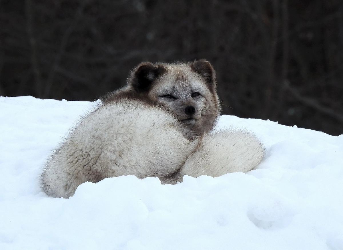 Обложка © Shutterstock / FOTODOM / Agnostic  