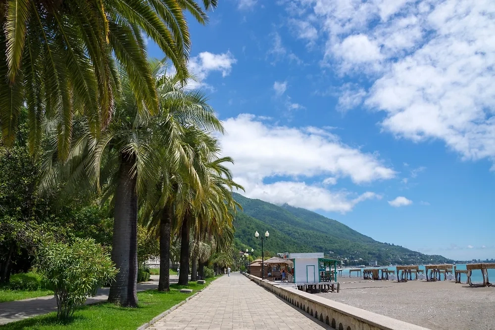 Абхазия — одно из бюджетных направлений с чистыми пляжами. Фото © Shutterstock / FOTODOM / shushonok