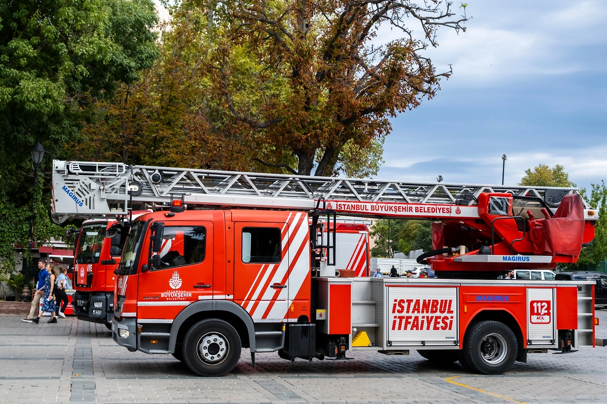 Обложка ©  Shutterstock / FOTODOM / Yasin Caglayan