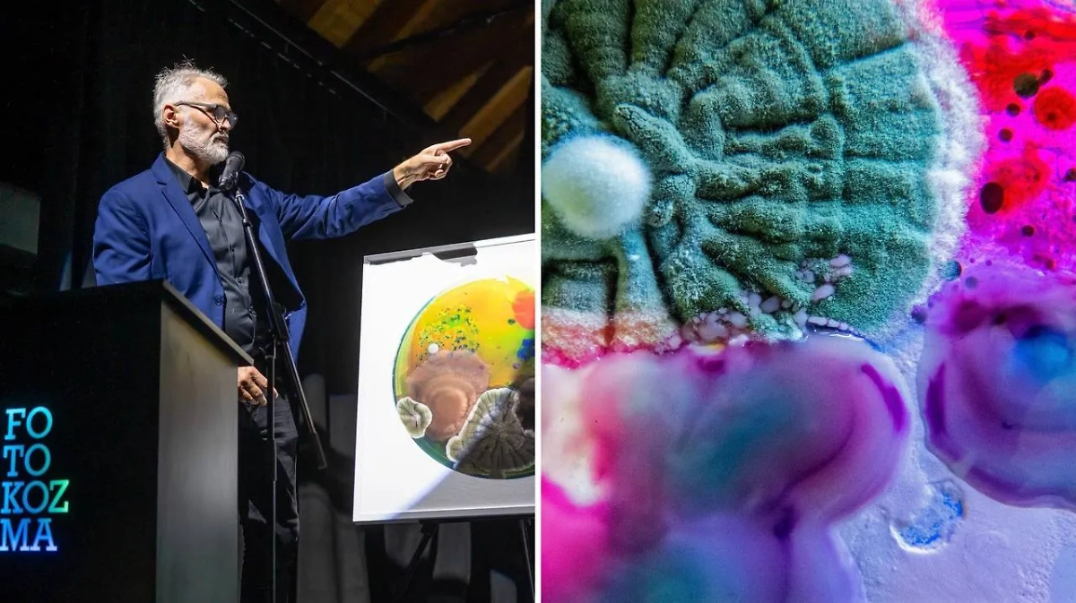 Фото © Instagram (признан экстремистской организацией и запрещён на территории Российской Федерации) / dashaplesen