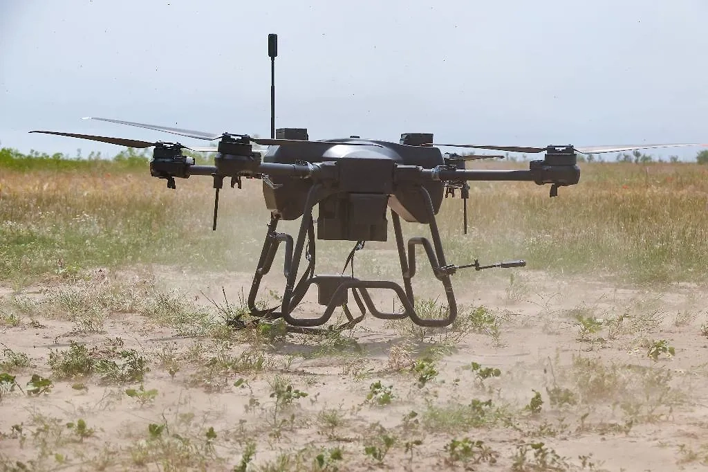 Обложка © ТАСС / Александр Полегенько