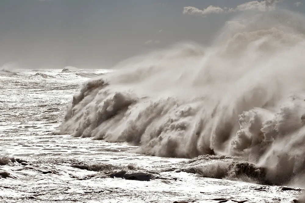 Обложка © Shutterstock / FOTODOM / Zacarias da Mata