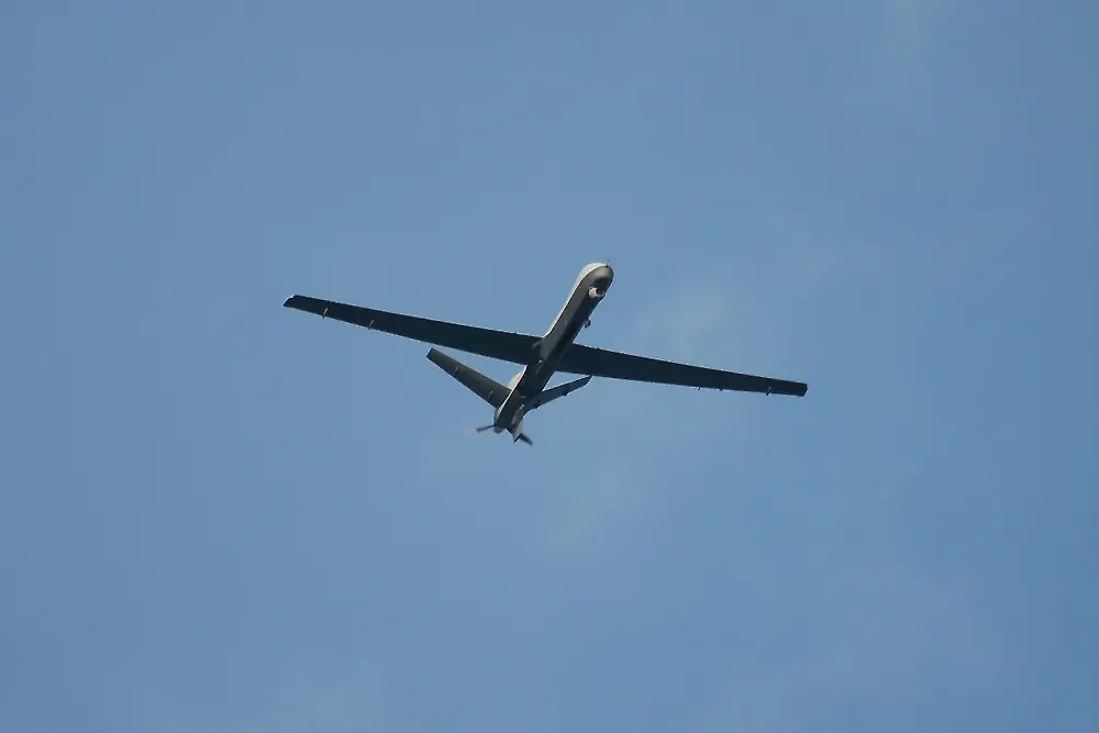 Обложка © Shutterstock / FOTODOM / Soos Jozsef